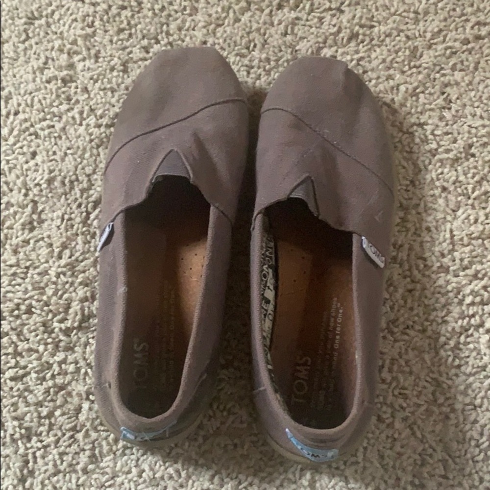 Grey toms